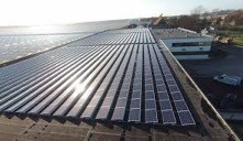 zonnepanelen weide